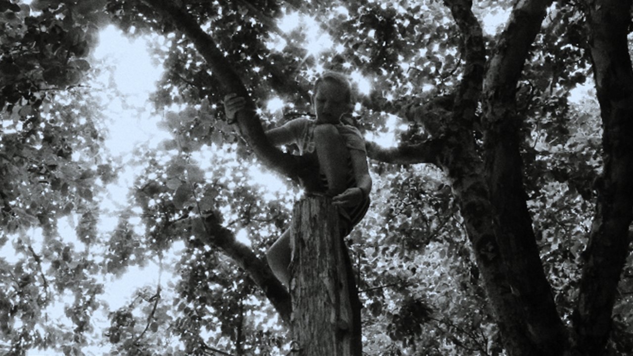 Backdrop image for movie Oat Boy