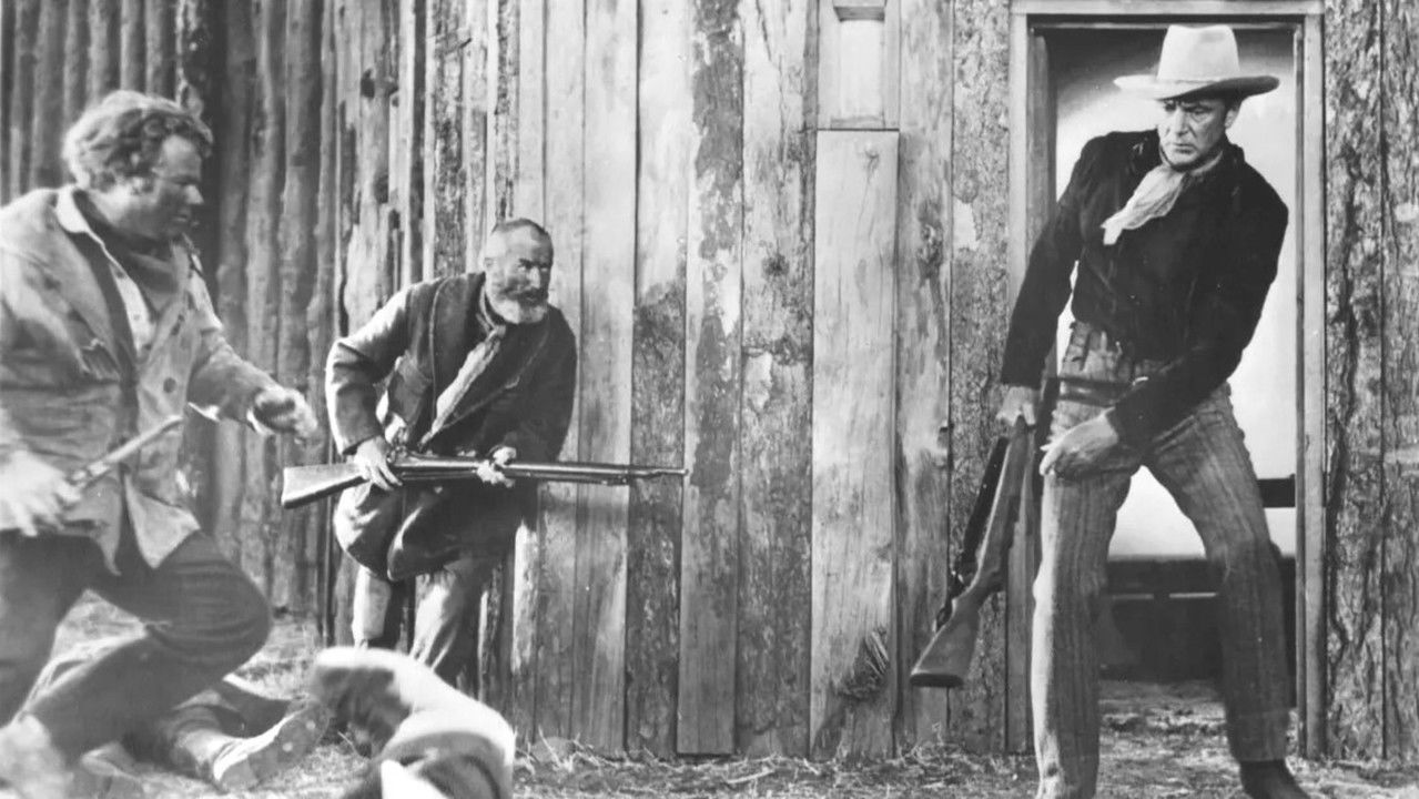 Backdrop image for movie Springfield Rifle