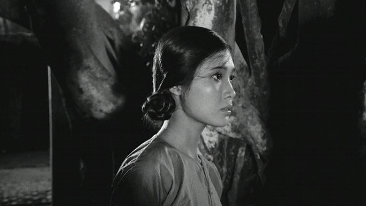 Backdrop image for movie When the Tenth Month Comes