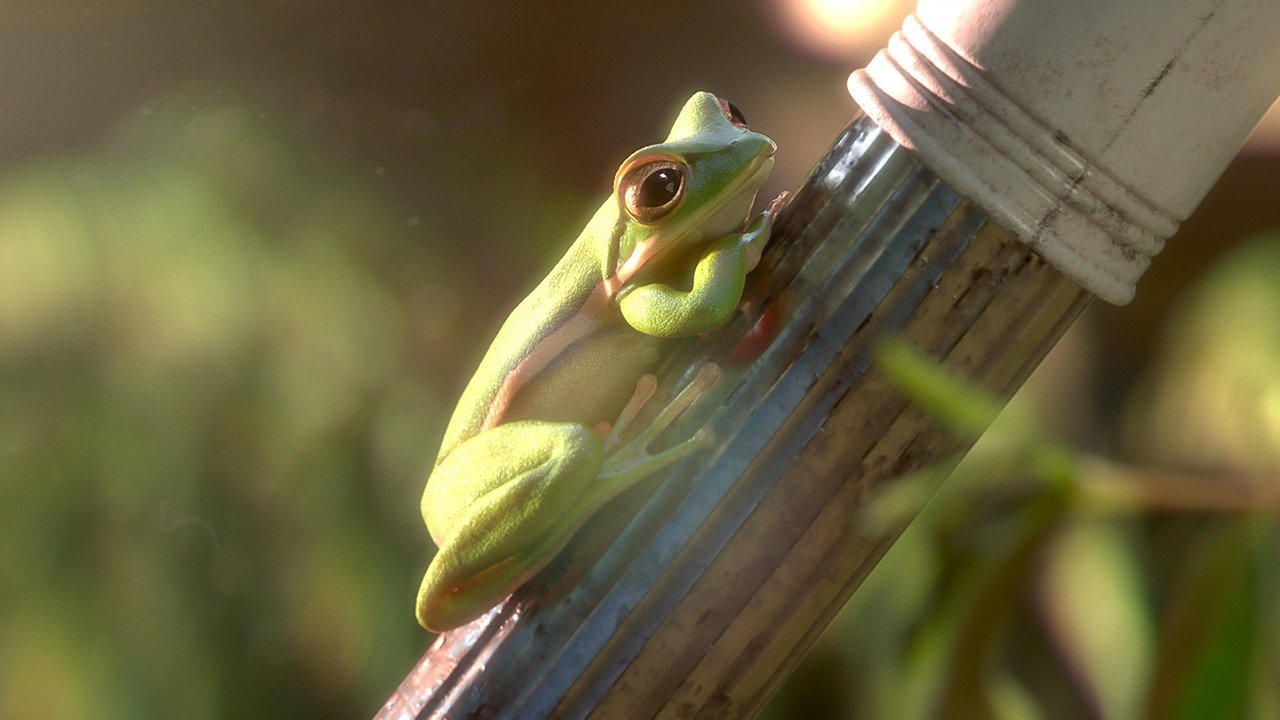 Backdrop image for movie Garden Party