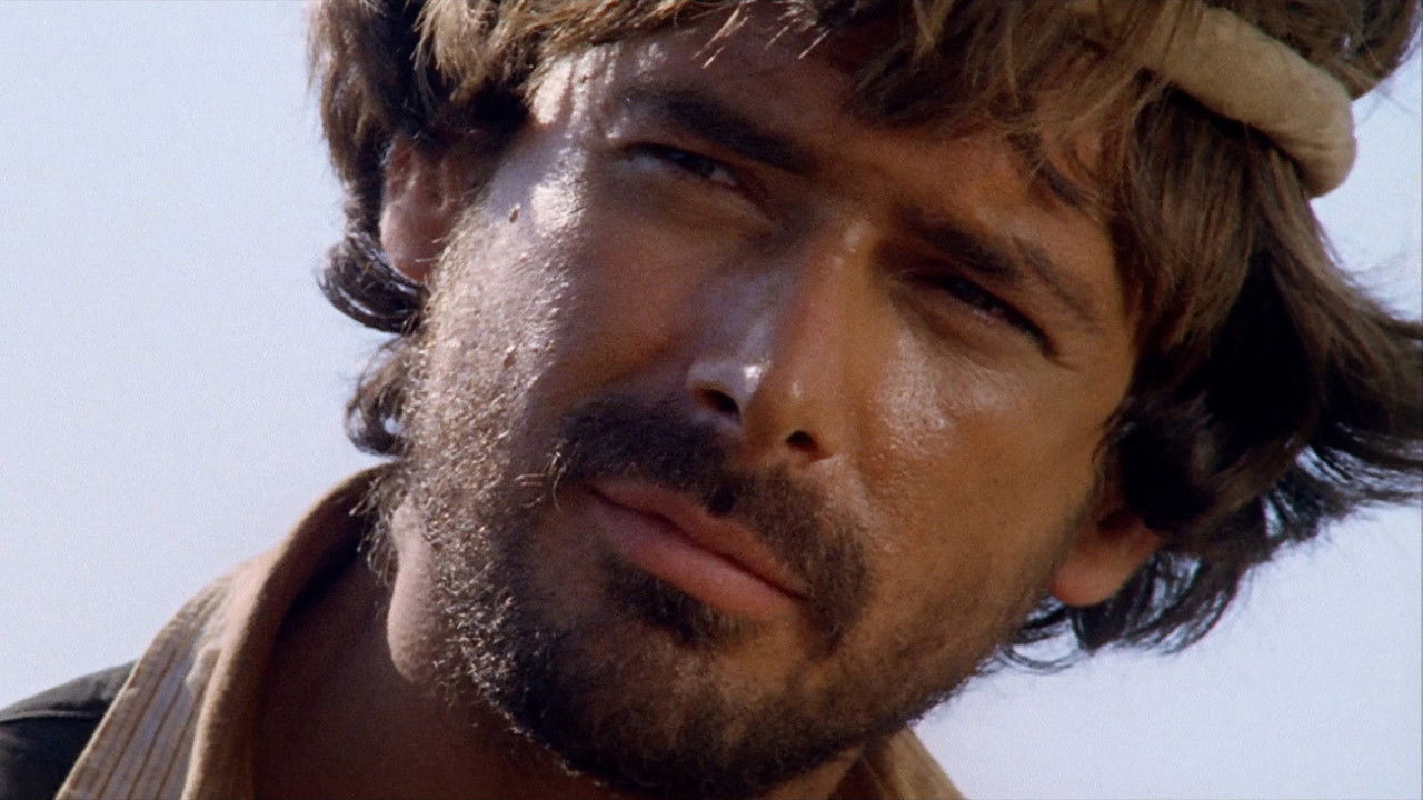 Backdrop image for movie Django Kill... If You Live, Shoot!