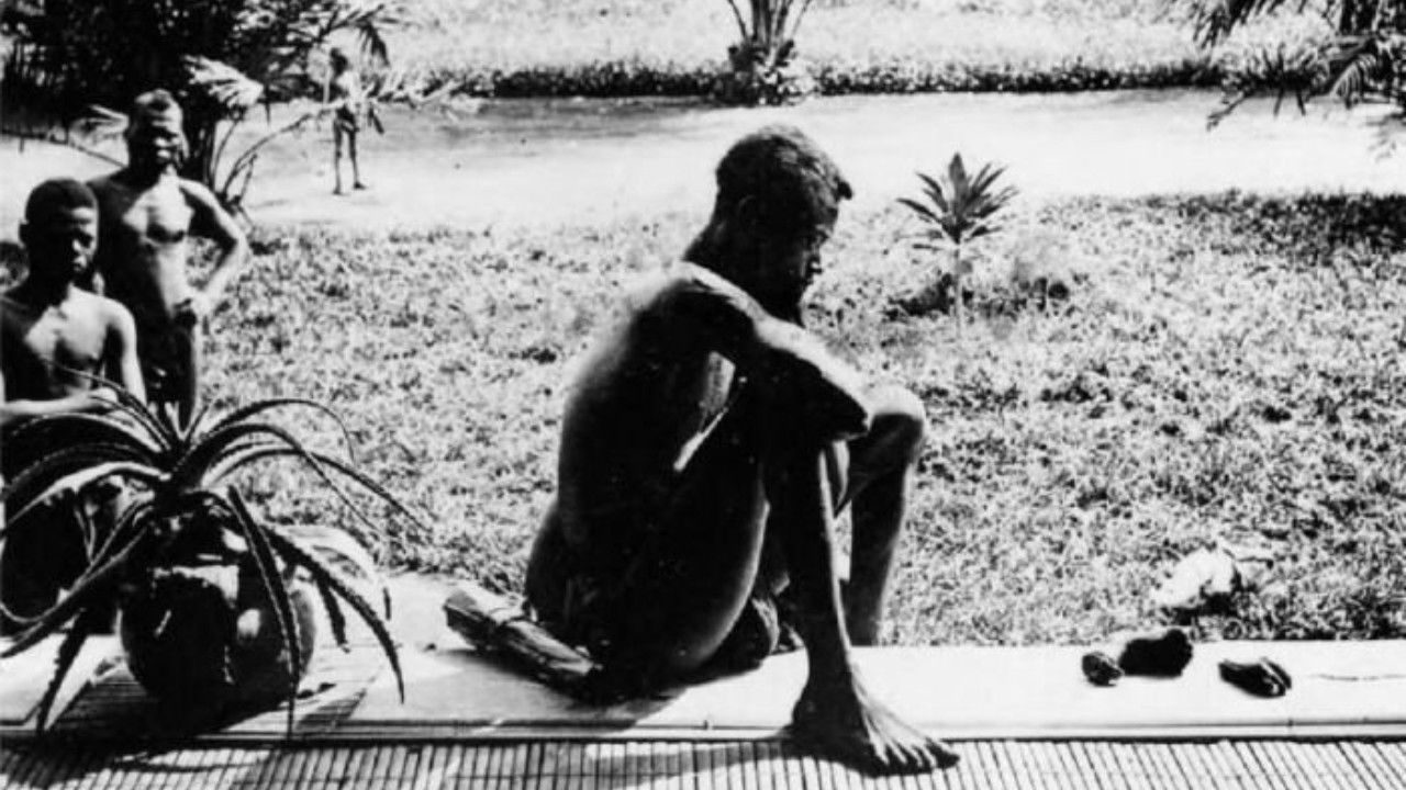 Backdrop image for movie Congo: White King, Red Rubber, Black Death