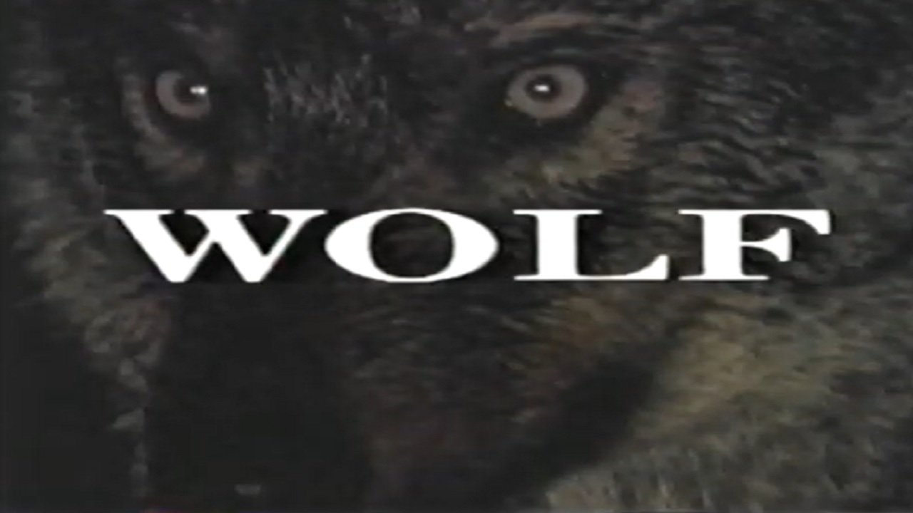 Backdrop image for movie Predators of the Wild: Wolf