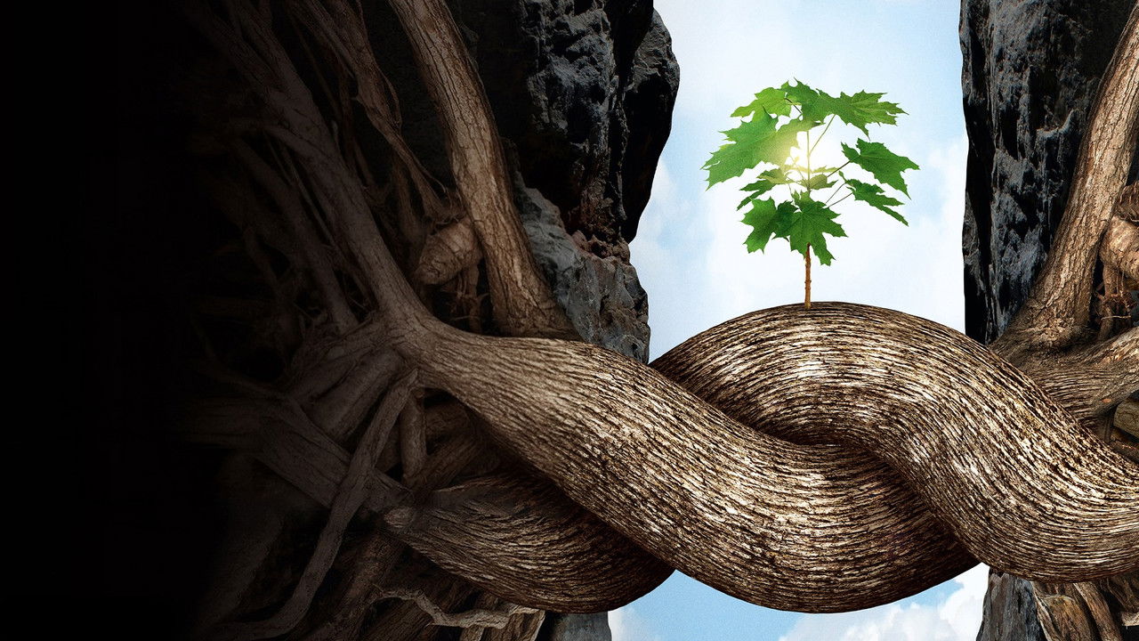 Backdrop image for movie Intelligent Trees