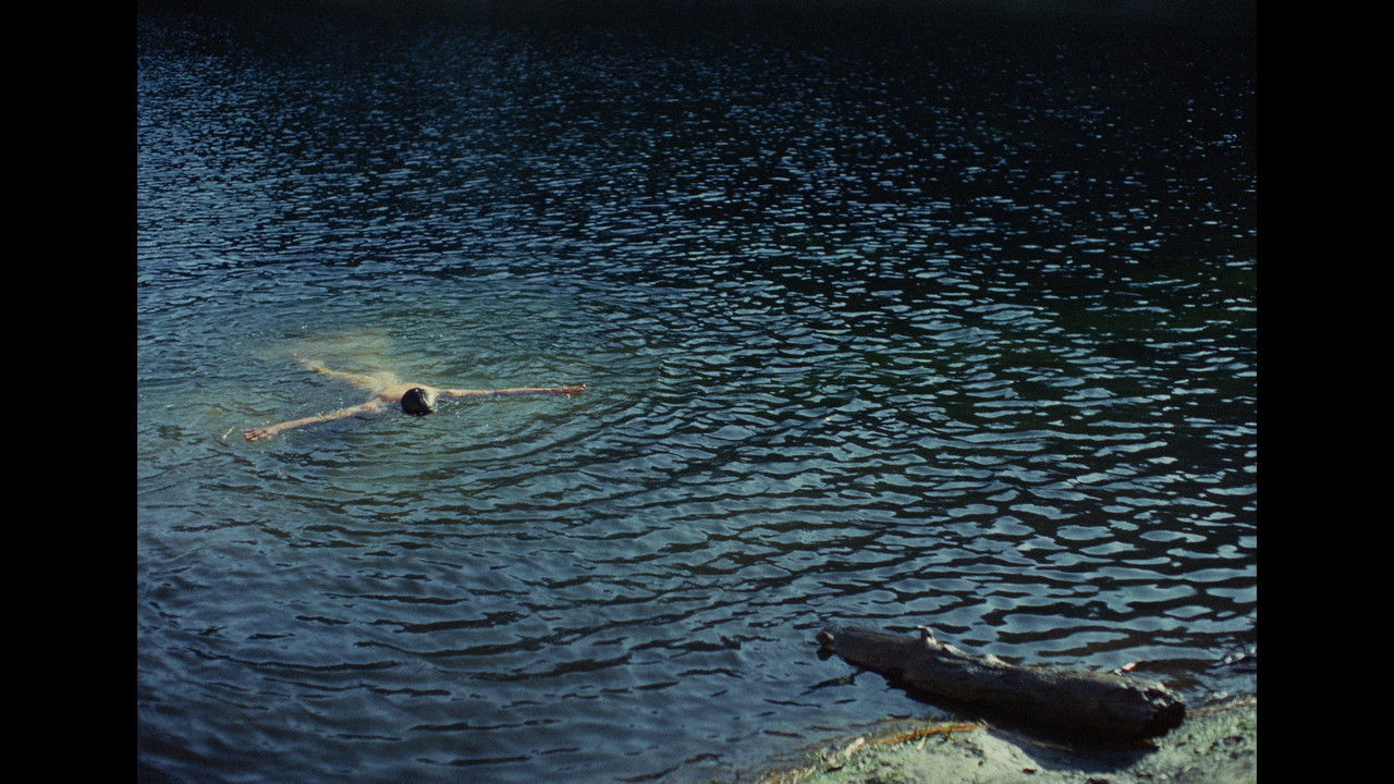 Backdrop image for movie Tinskani: Afterimage