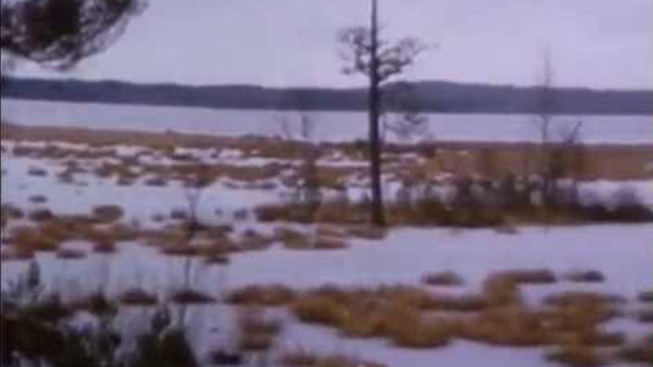 Backdrop image for movie Striaght Ahead