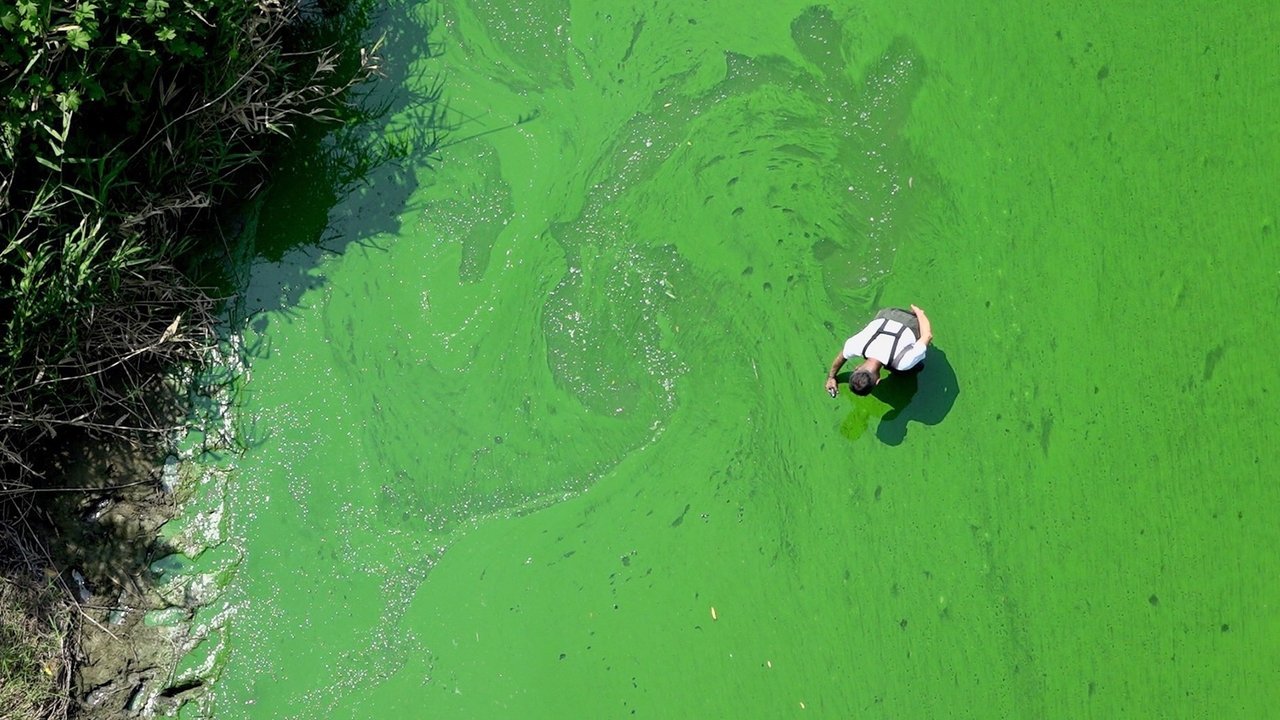 Backdrop image for movie Rivercide: The Secret Six
