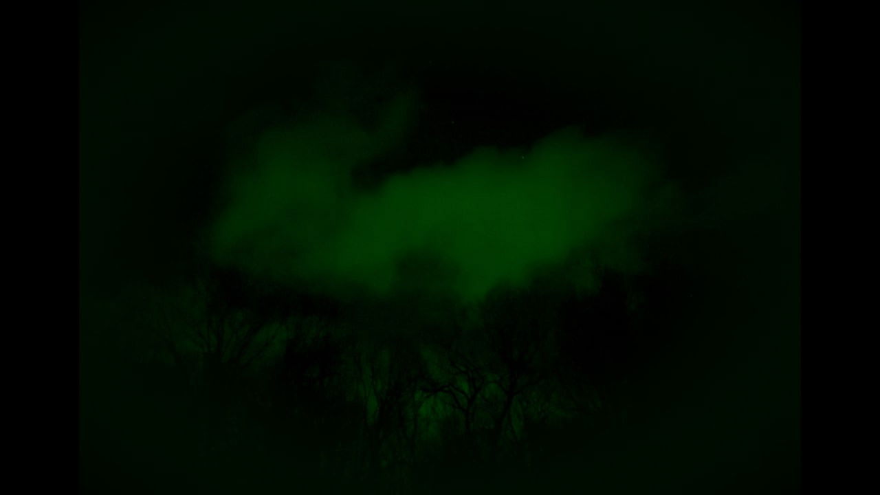 Backdrop image for movie Rumination