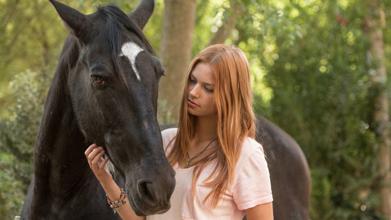 Backdrop image for movie Windstorm 3