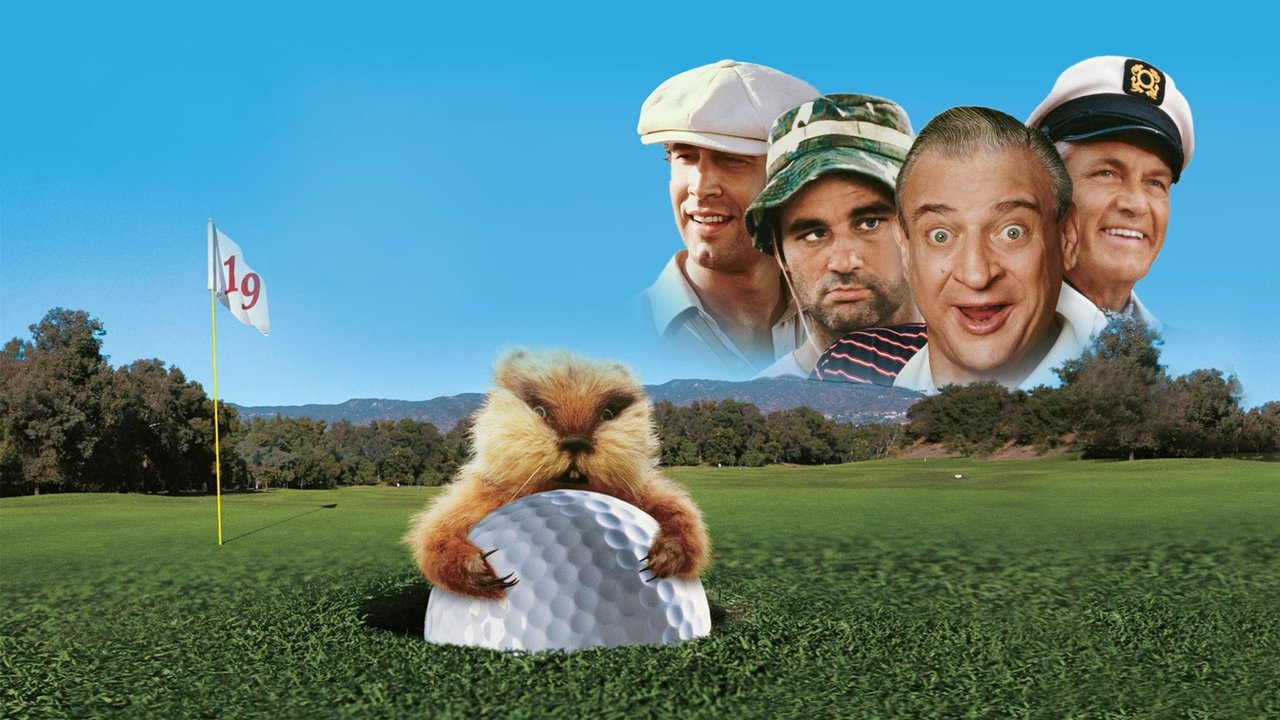 Backdrop image for movie Caddyshack