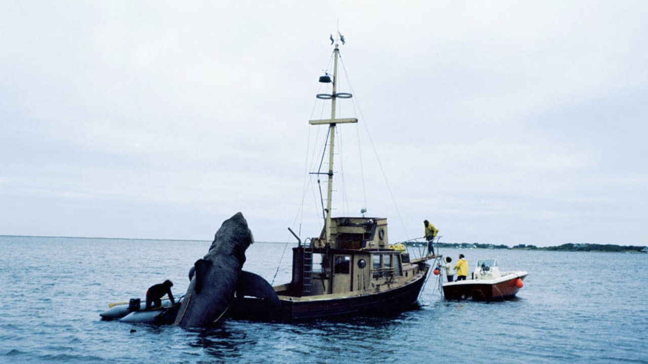 Backdrop image for movie In the Teeth of Jaws