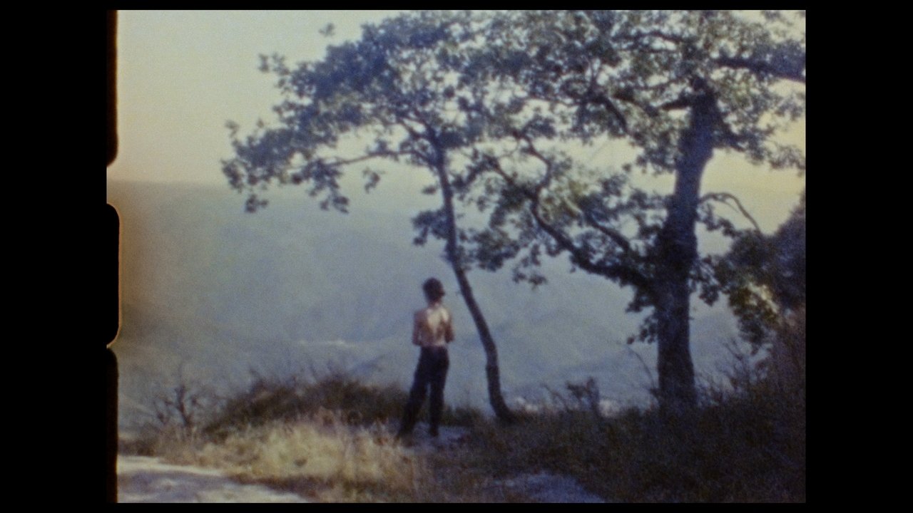 Backdrop image for movie Crack of Dawn