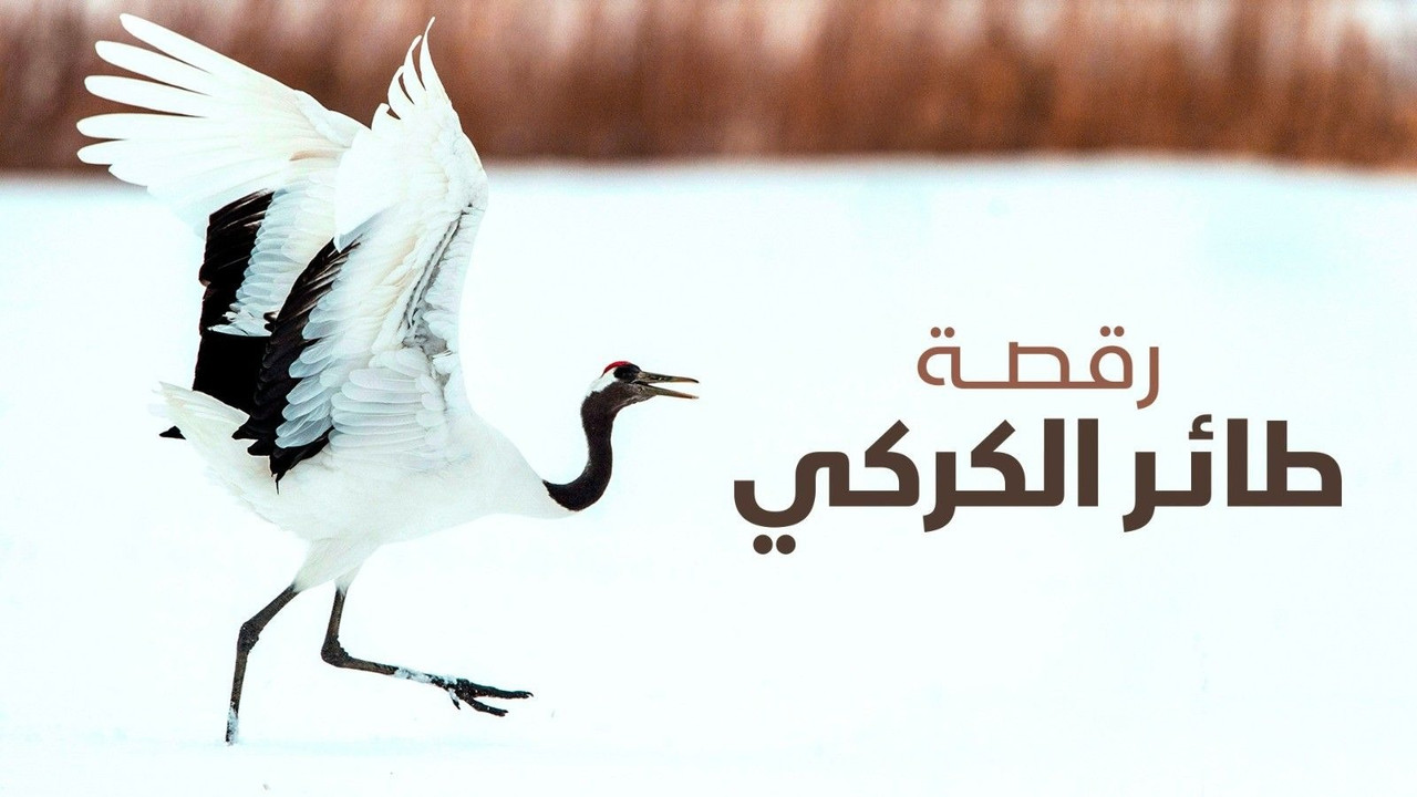 Backdrop image for movie Dance Of The Crane