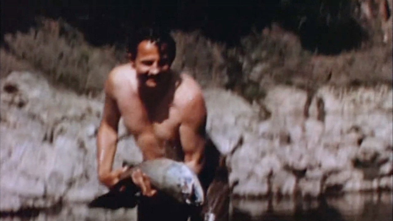 Backdrop image for movie Fish Tales