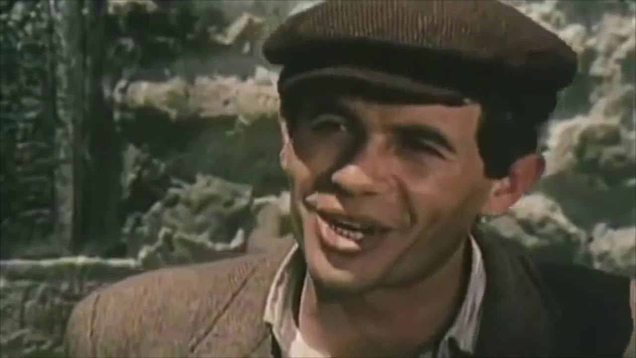 Backdrop image for movie The New Shelter