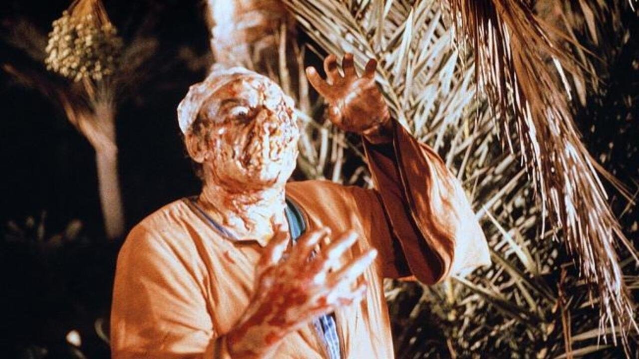 Backdrop image for movie Dawn of the Mummy