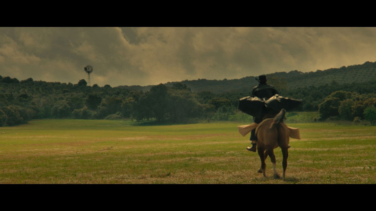 Backdrop image for movie Portuguese Joe