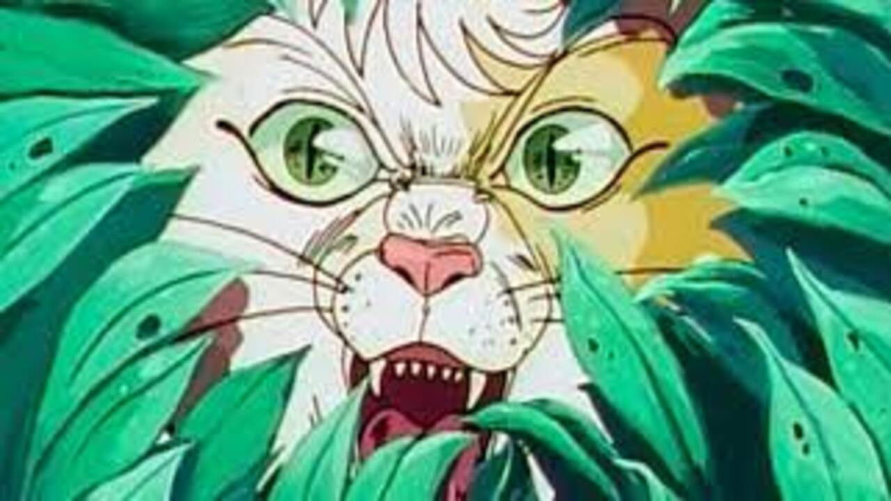 Backdrop image for movie Dark Cat