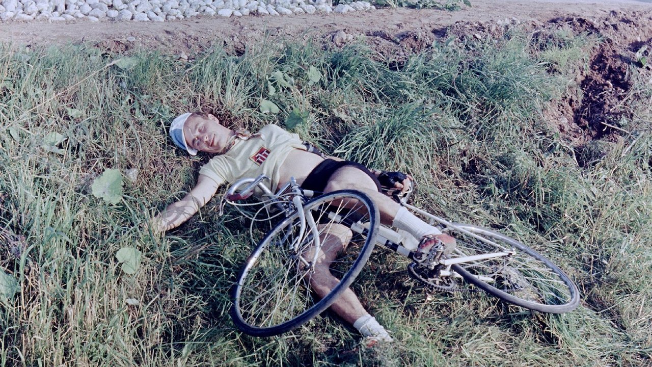 Backdrop image for movie The Bicycle Tamers