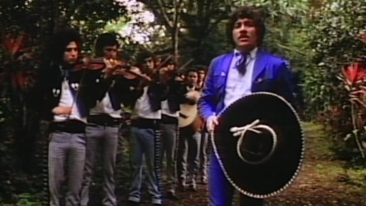 Backdrop image for movie A Man, When He Is a Man
