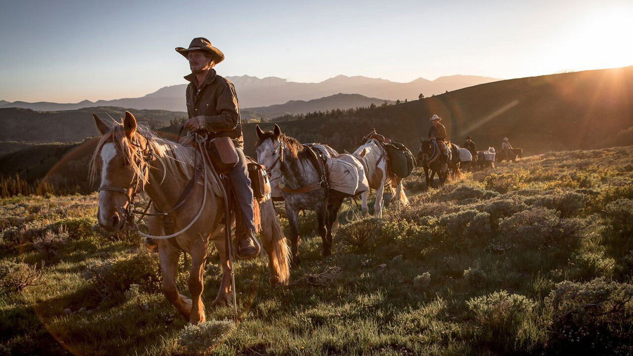 Backdrop image for movie Unbranded