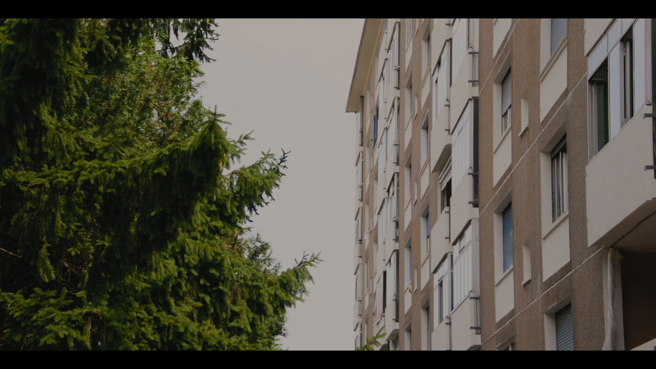 Backdrop image for movie Mira-futuro