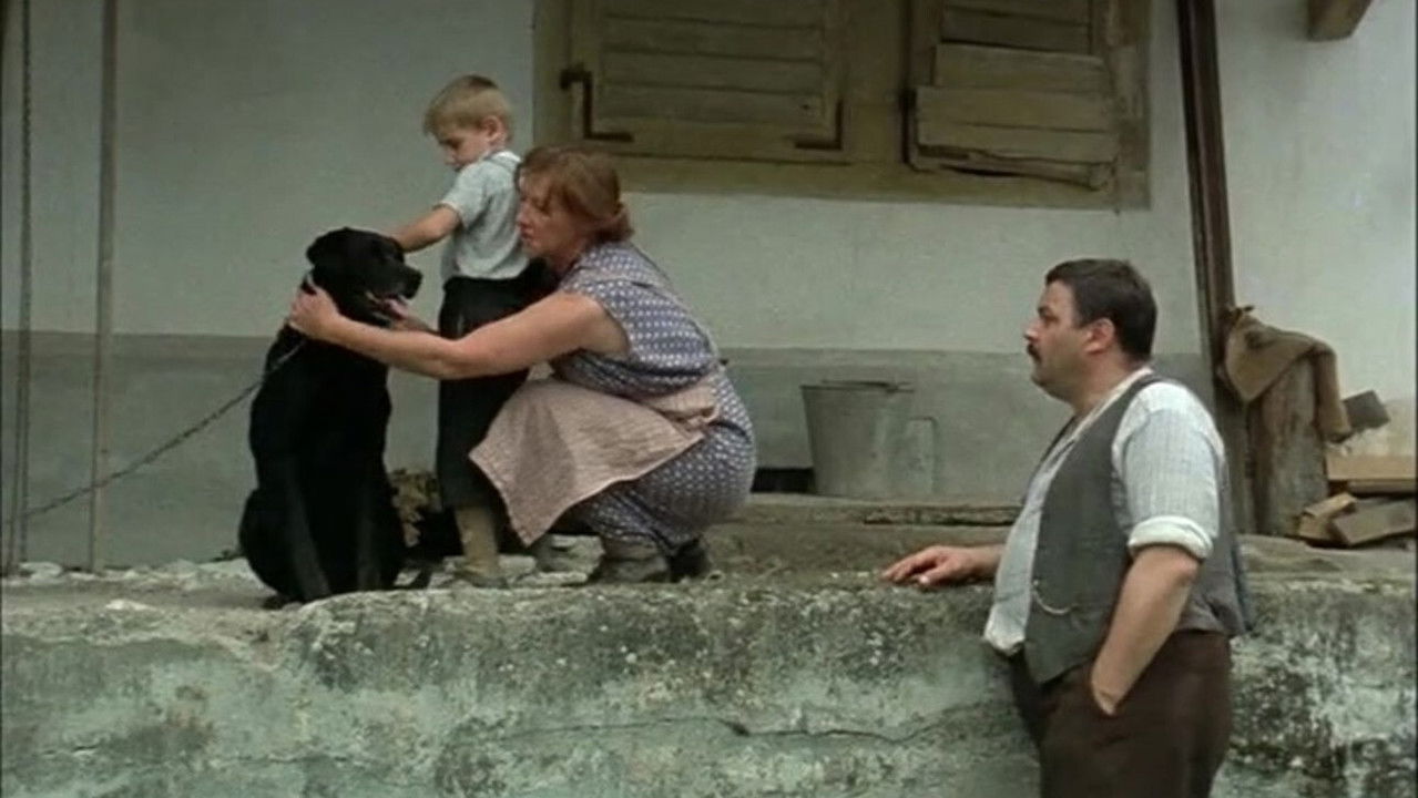 Backdrop image for movie The Boat Is Full