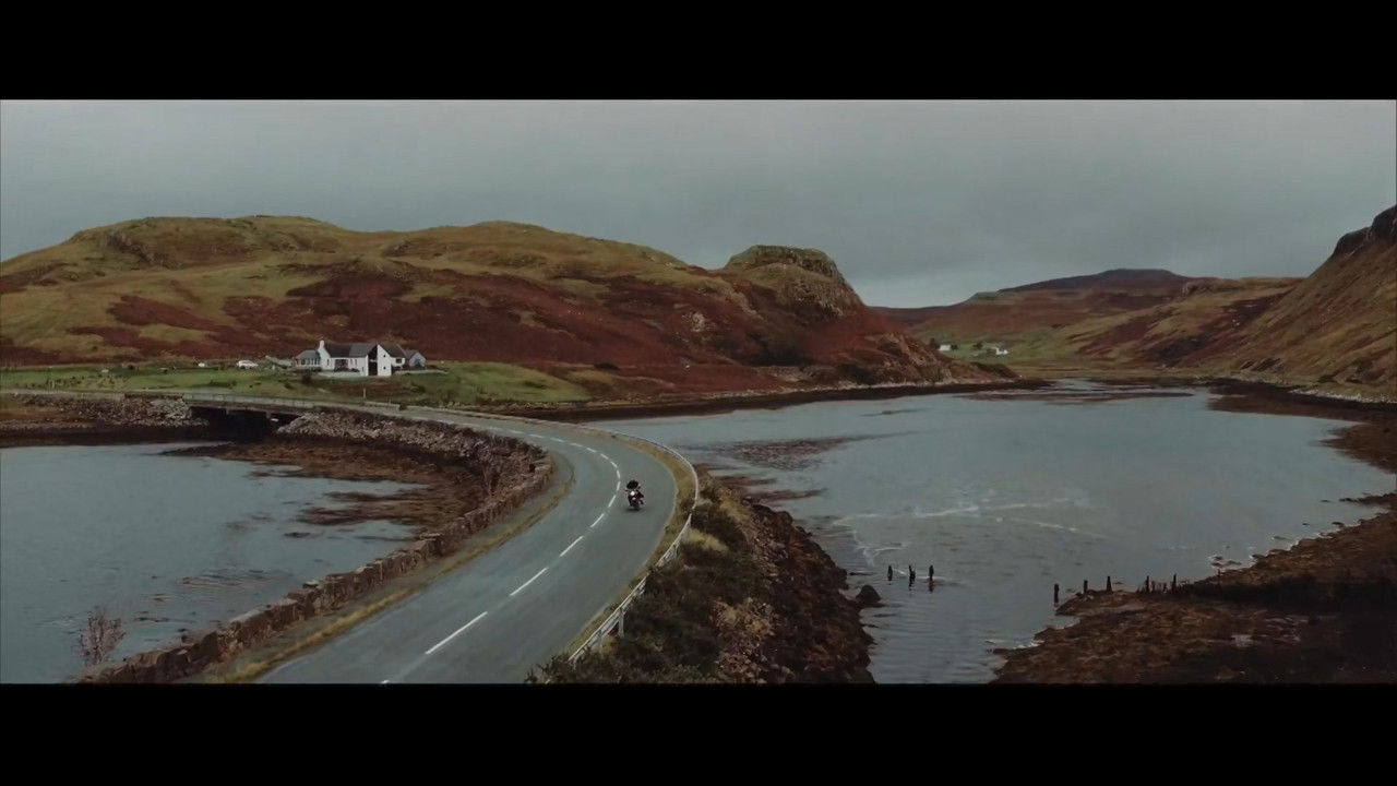 Backdrop image for movie Martin Garrix & Matisse & Sadko - Forever