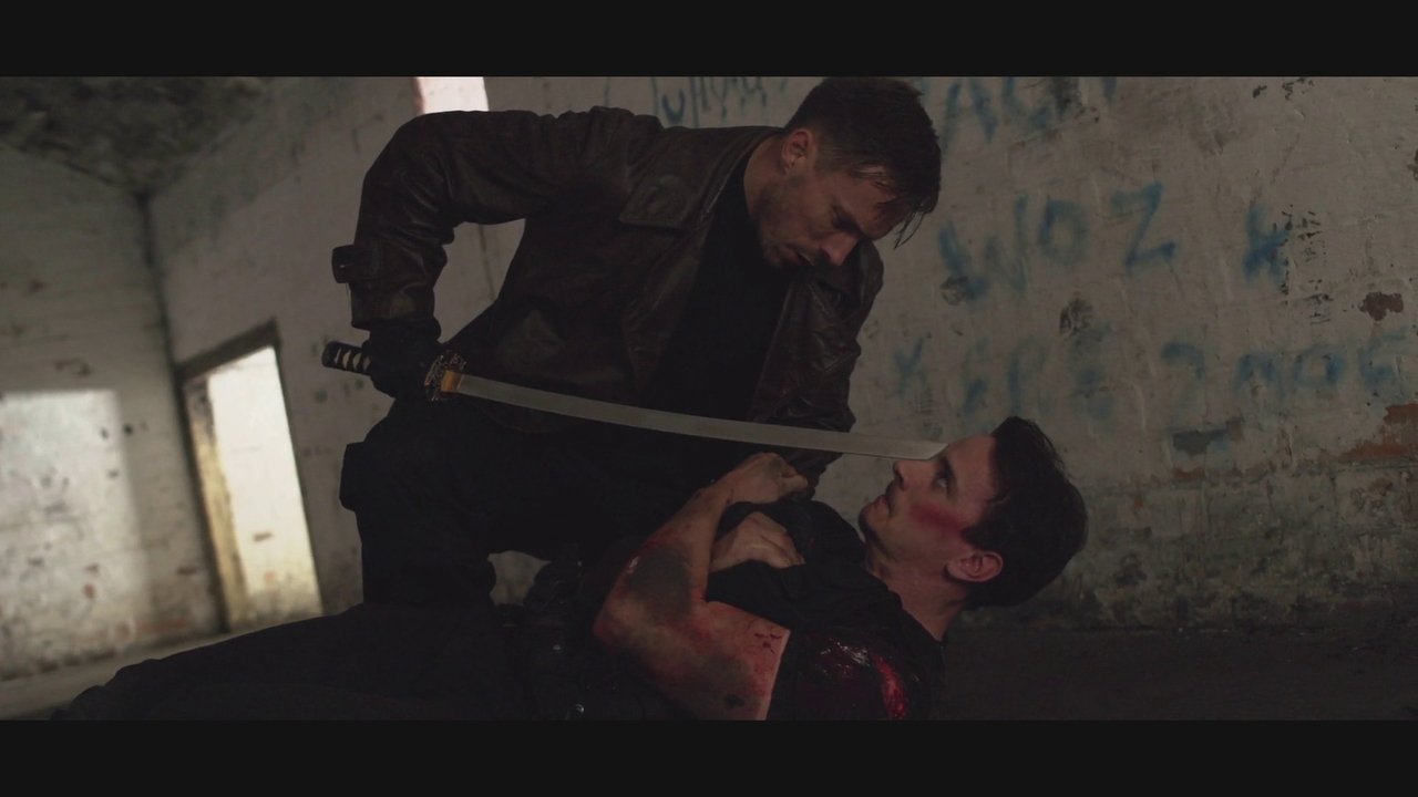 Backdrop image for movie Wrath of Van Helsing