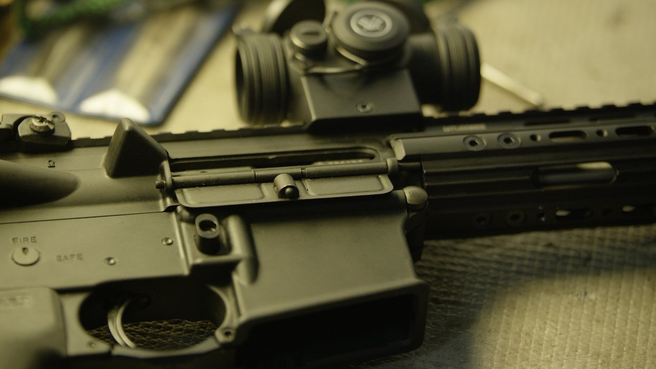 Backdrop image for movie Shadow of a Gun