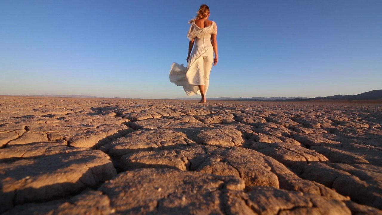 Backdrop image for movie The Outwaters