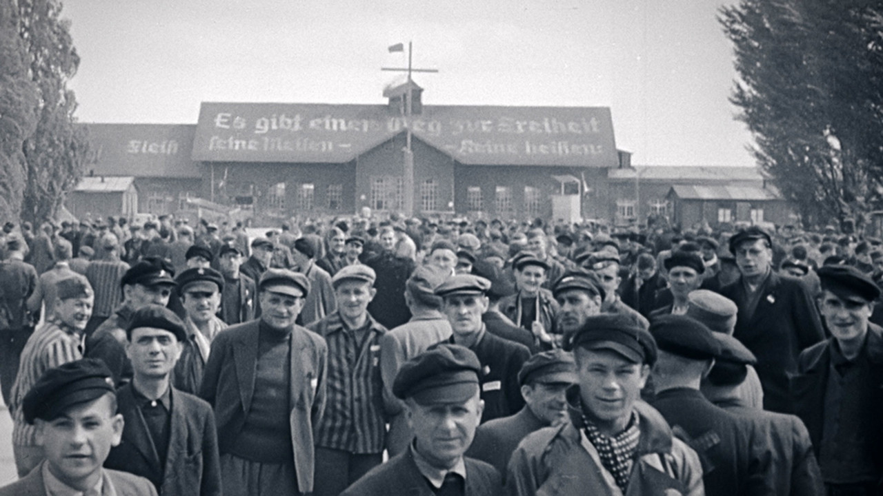 Backdrop image for movie Les survivants, l'impossible départ après la Shoah