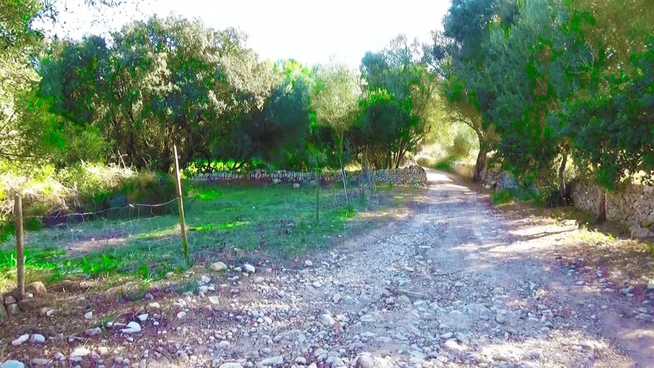 Backdrop image for movie Es quizás