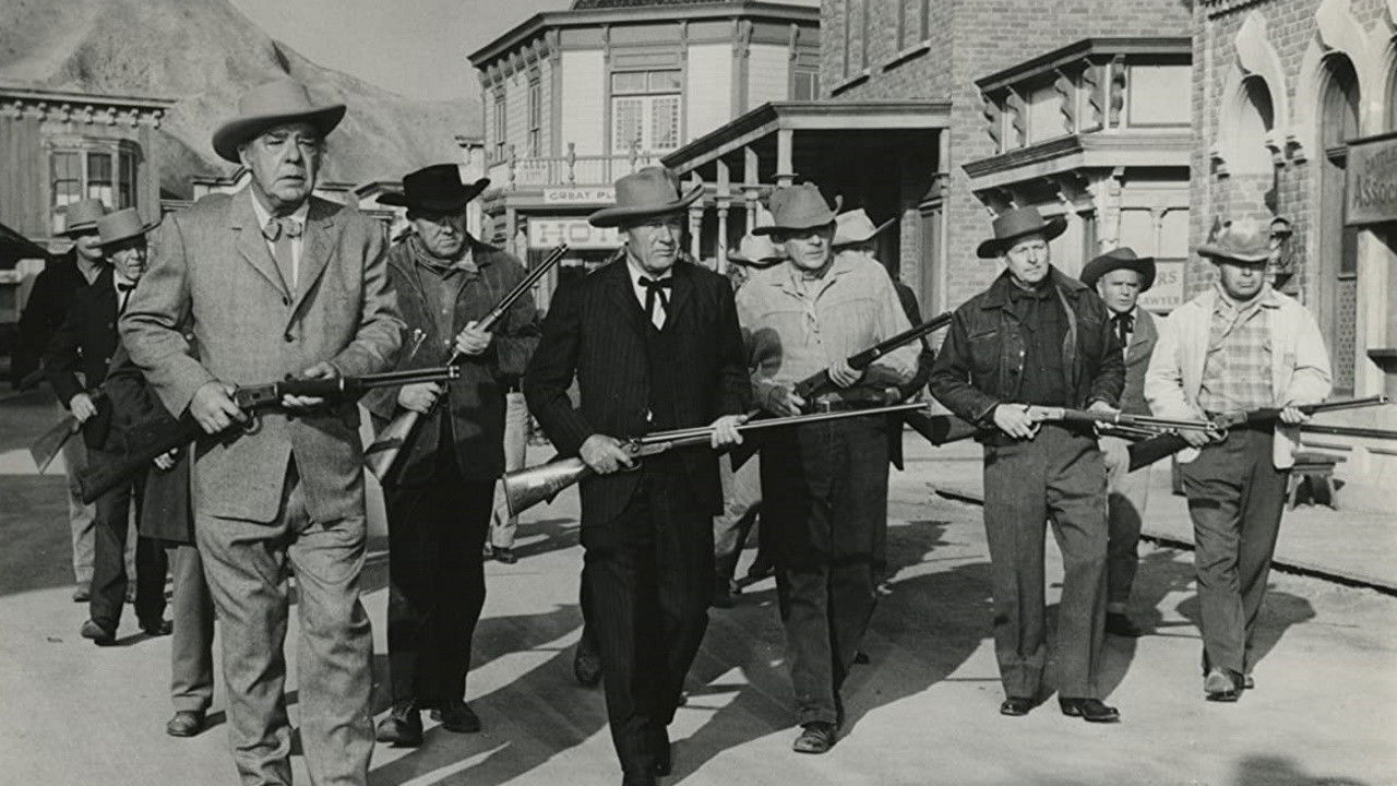 Backdrop image for movie Town Tamer