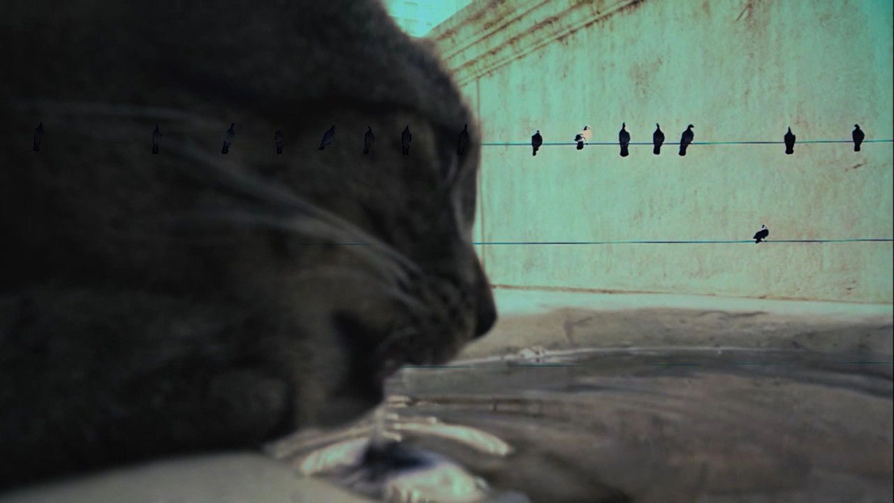 Backdrop image for movie 7 Vidas