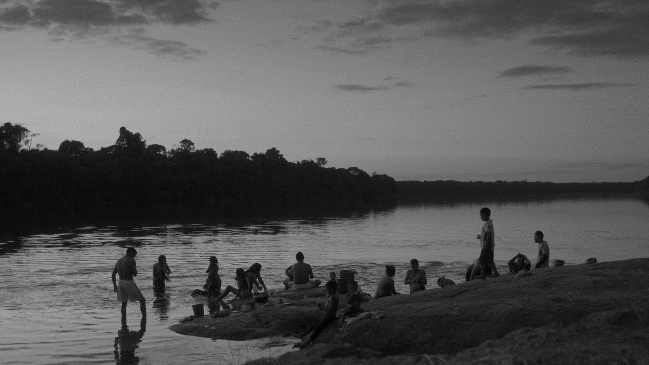 Backdrop image for movie Adieu sauvage