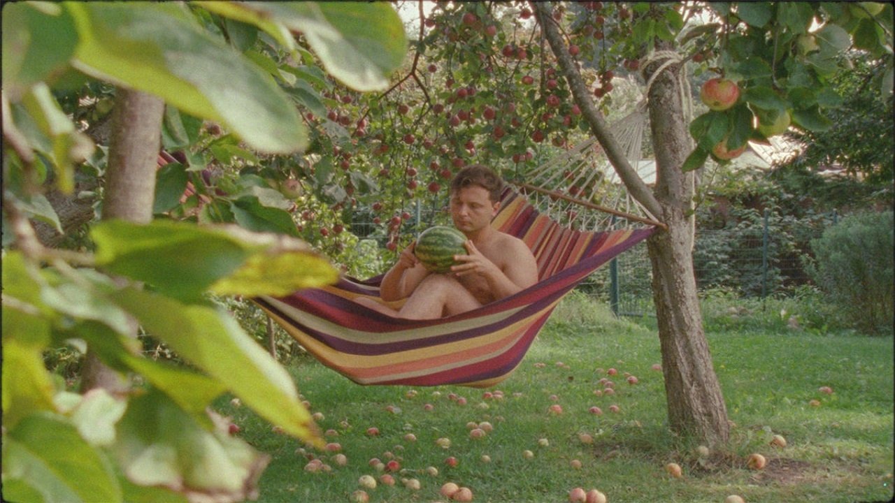 Backdrop image for movie Community Gardens