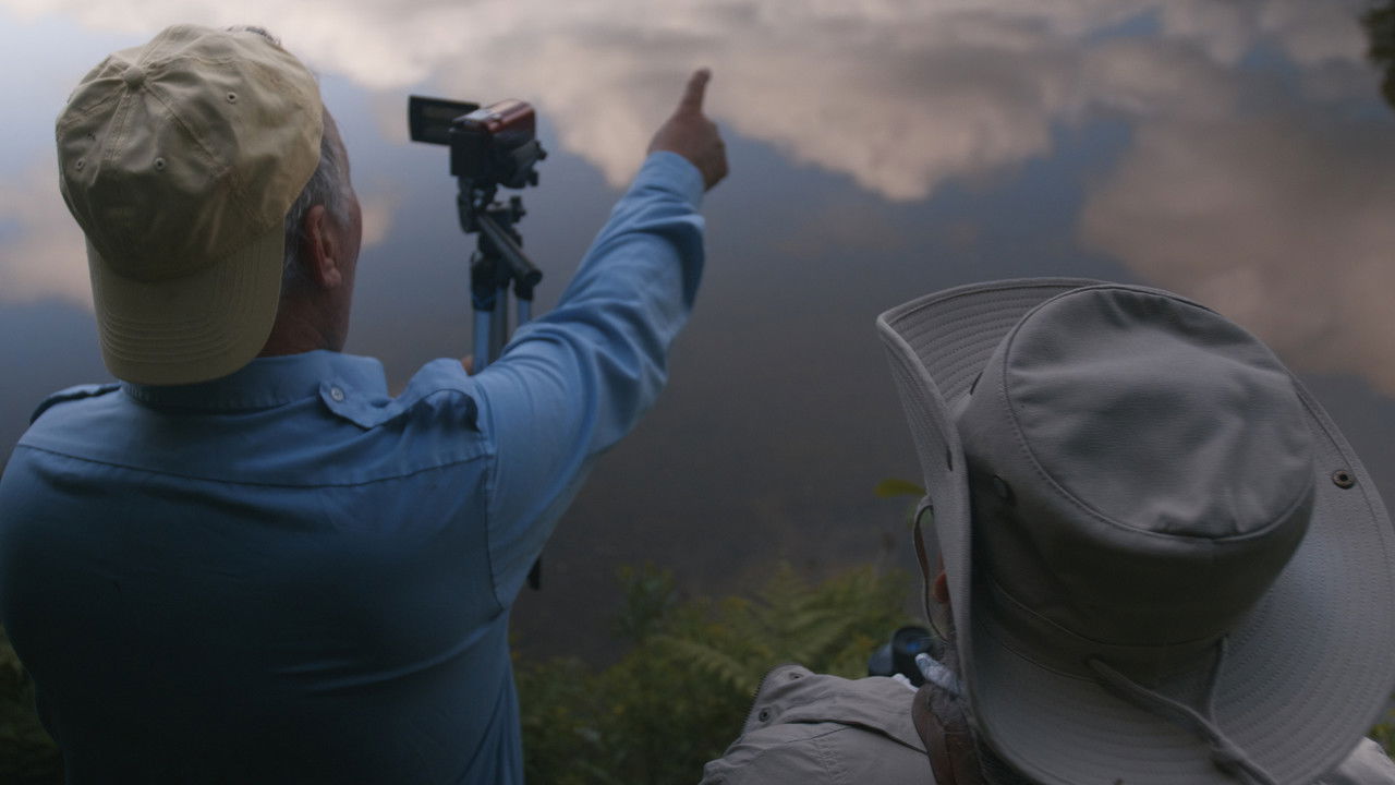 Backdrop image for movie Boomer On The Lake