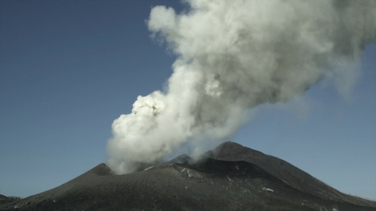 Backdrop image for movie Survivre aux catastrophes, les stratégies de la nature