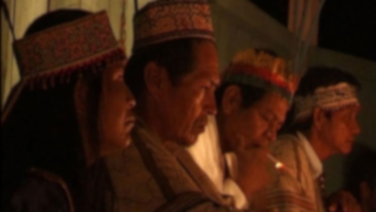 Backdrop image for movie L'Ayahuasca, le serpent et moi