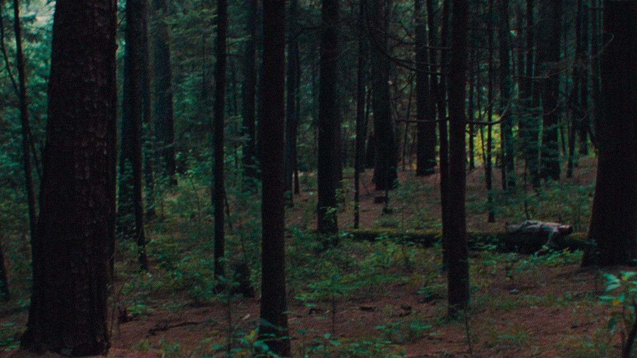 Backdrop image for movie Isósceles