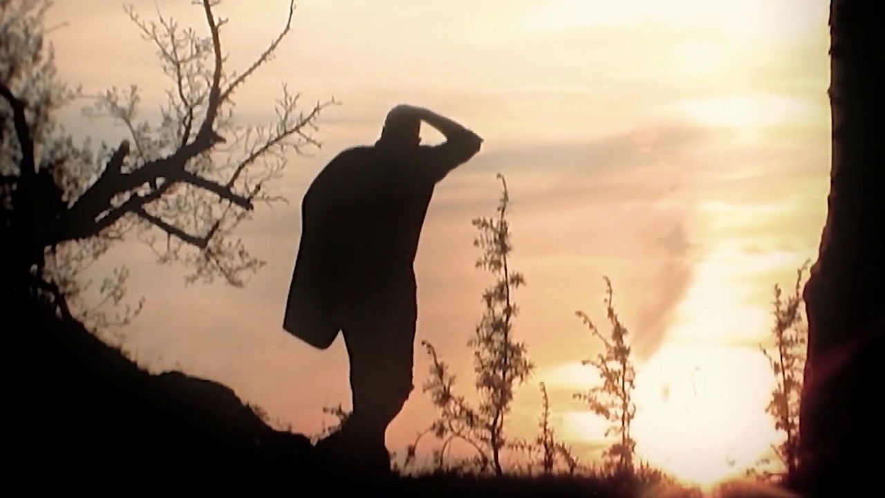 Backdrop image for movie The Angels’ Melancholia