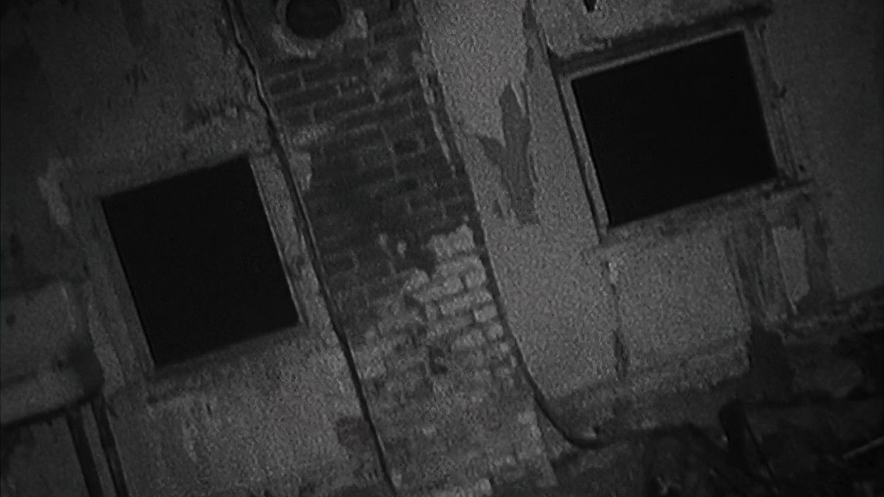 Backdrop image for movie Shadow of the Blair Witch