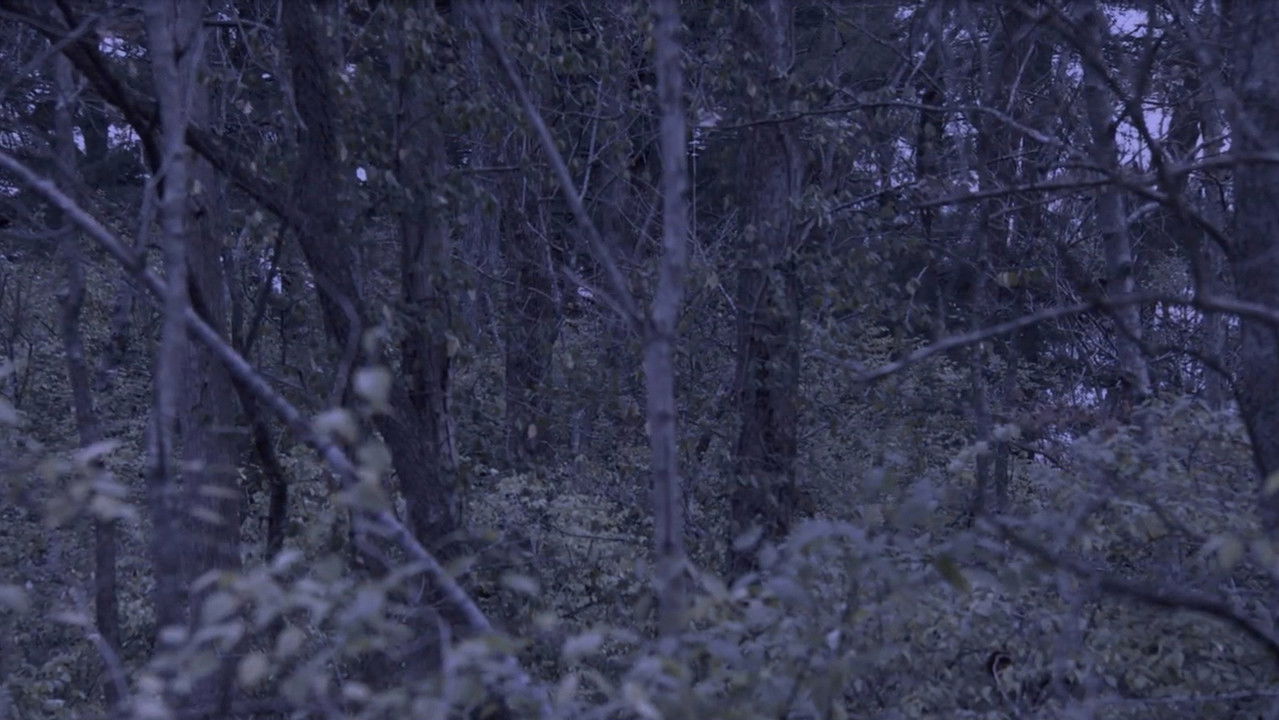 Backdrop image for movie Sometime, Somewhere, in Bellwood