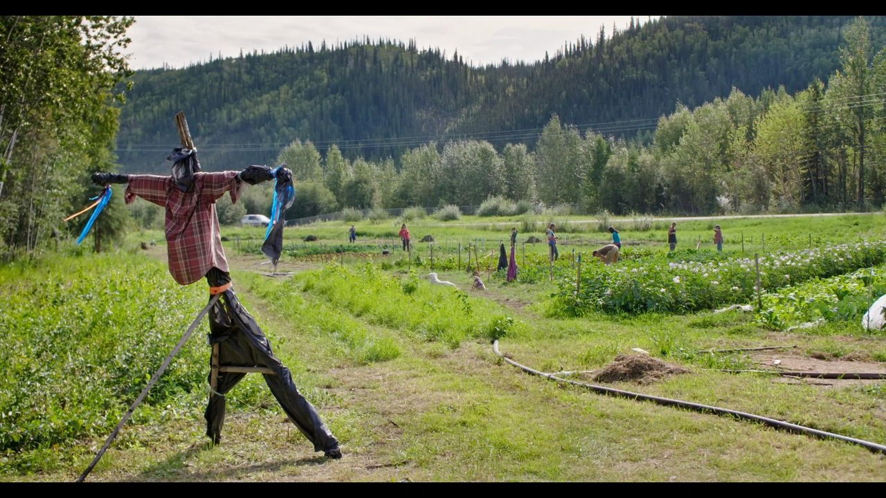 Backdrop image for movie Sovereign Soil