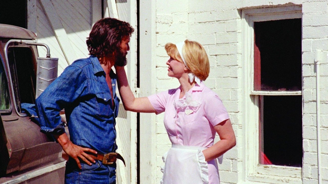 Backdrop image for movie Alice Doesn't Live Here Anymore