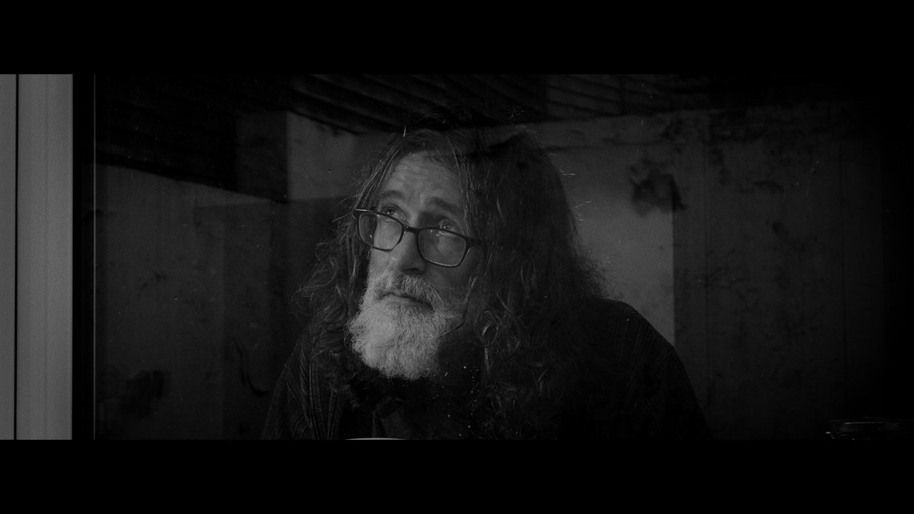 Backdrop image for movie Fungi