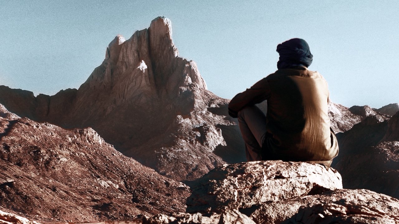 Backdrop image for movie Anatomy of a First