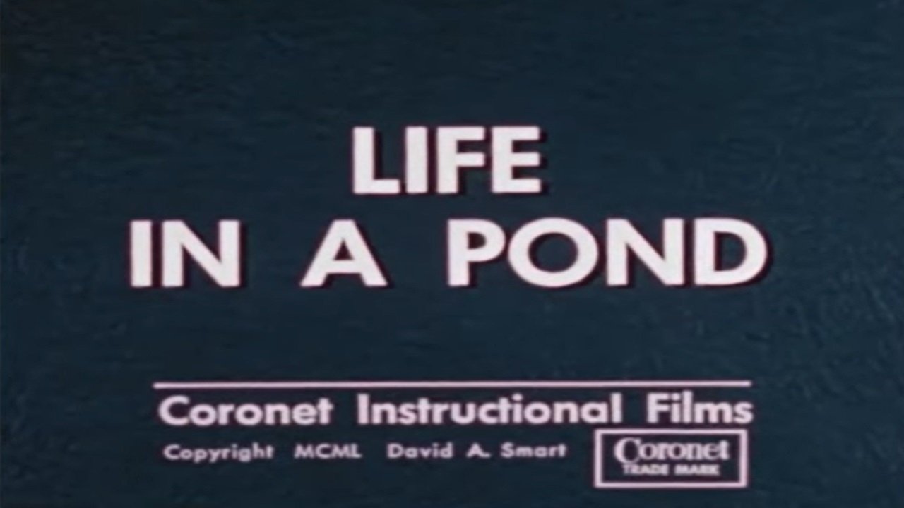 Backdrop image for movie Life in a Pond