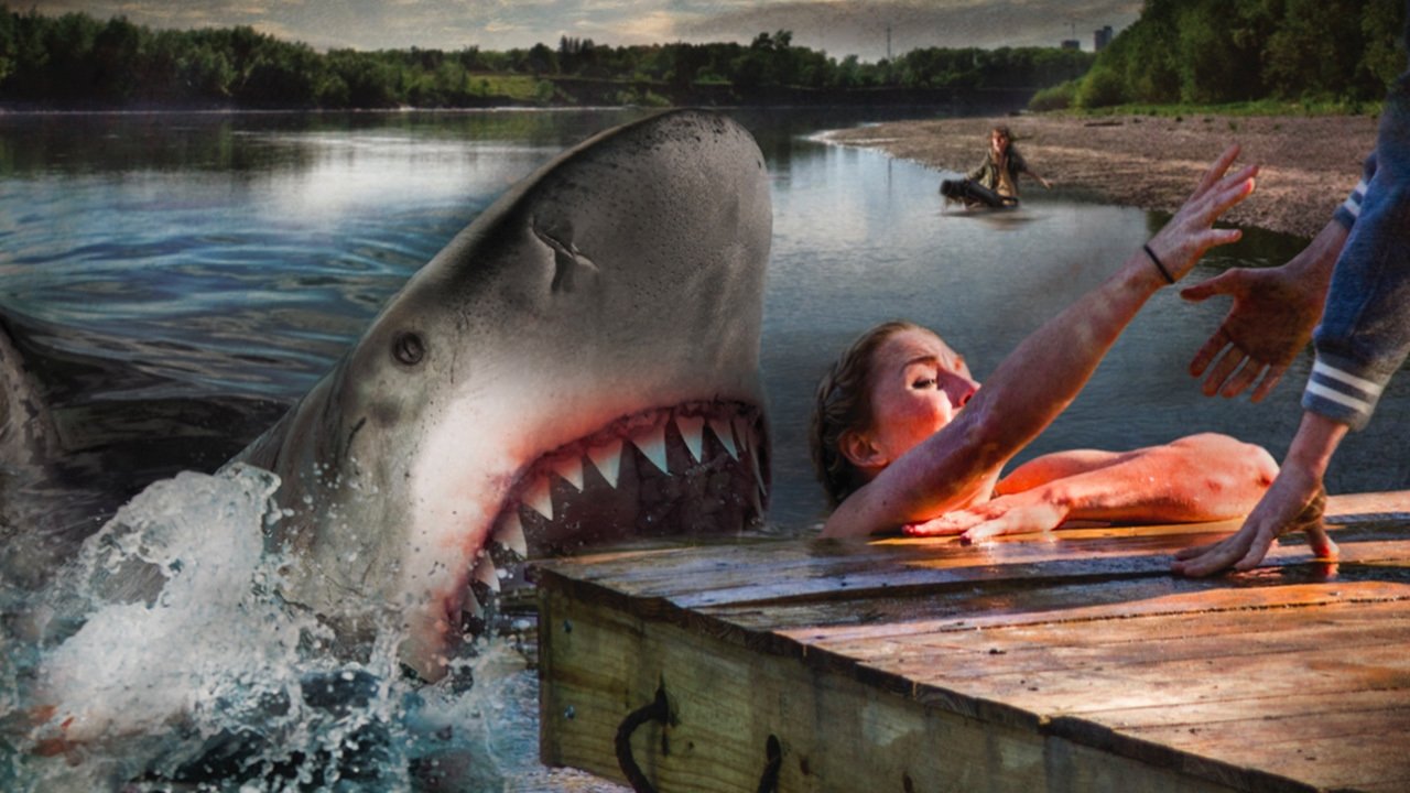 Backdrop image for movie Ozark Sharks